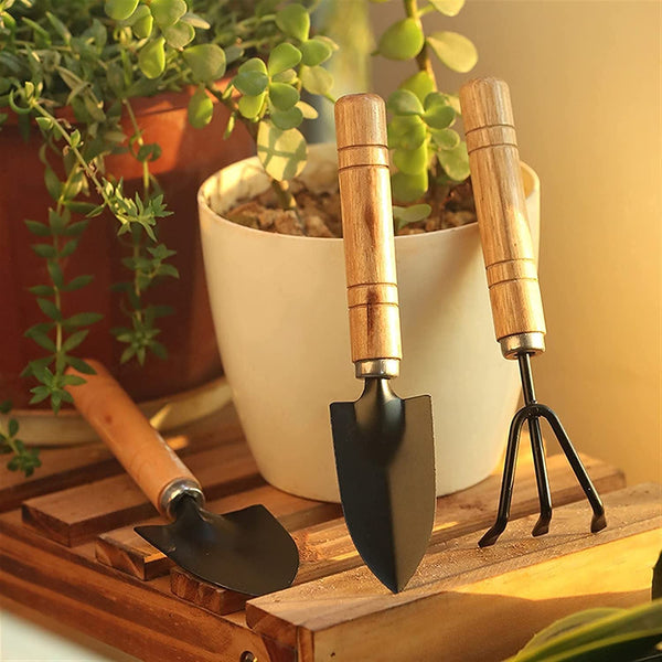 Small sized Hand Cultivator, Small Trowel, Garden Fork (Set of 3) - Image 11