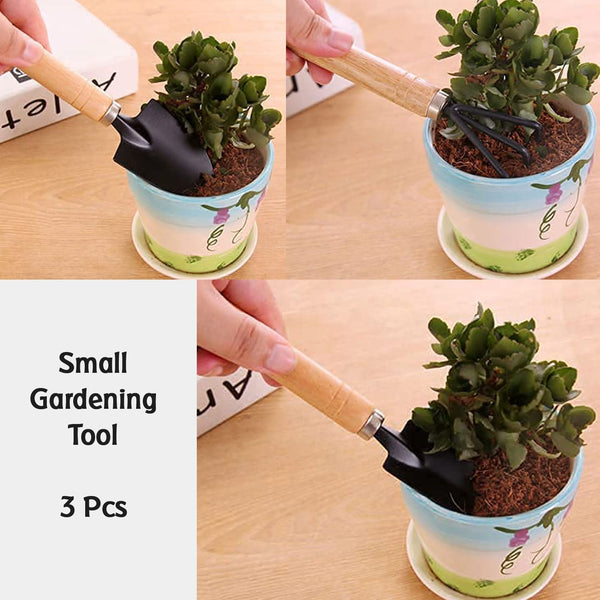 Small sized Hand Cultivator, Small Trowel, Garden Fork (Set of 3) - Image 9