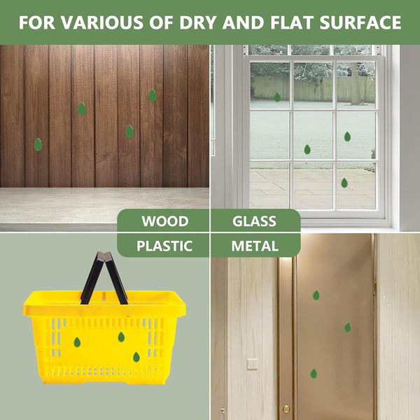 Plant Climbing Wall Clip, Self-Adhesive Vines Support Hooks for Indoor Outdoor Use (10 Pcs Set) - Image 5